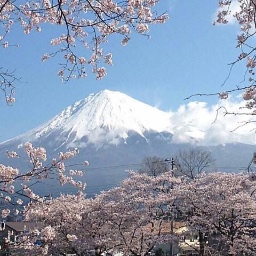 わか